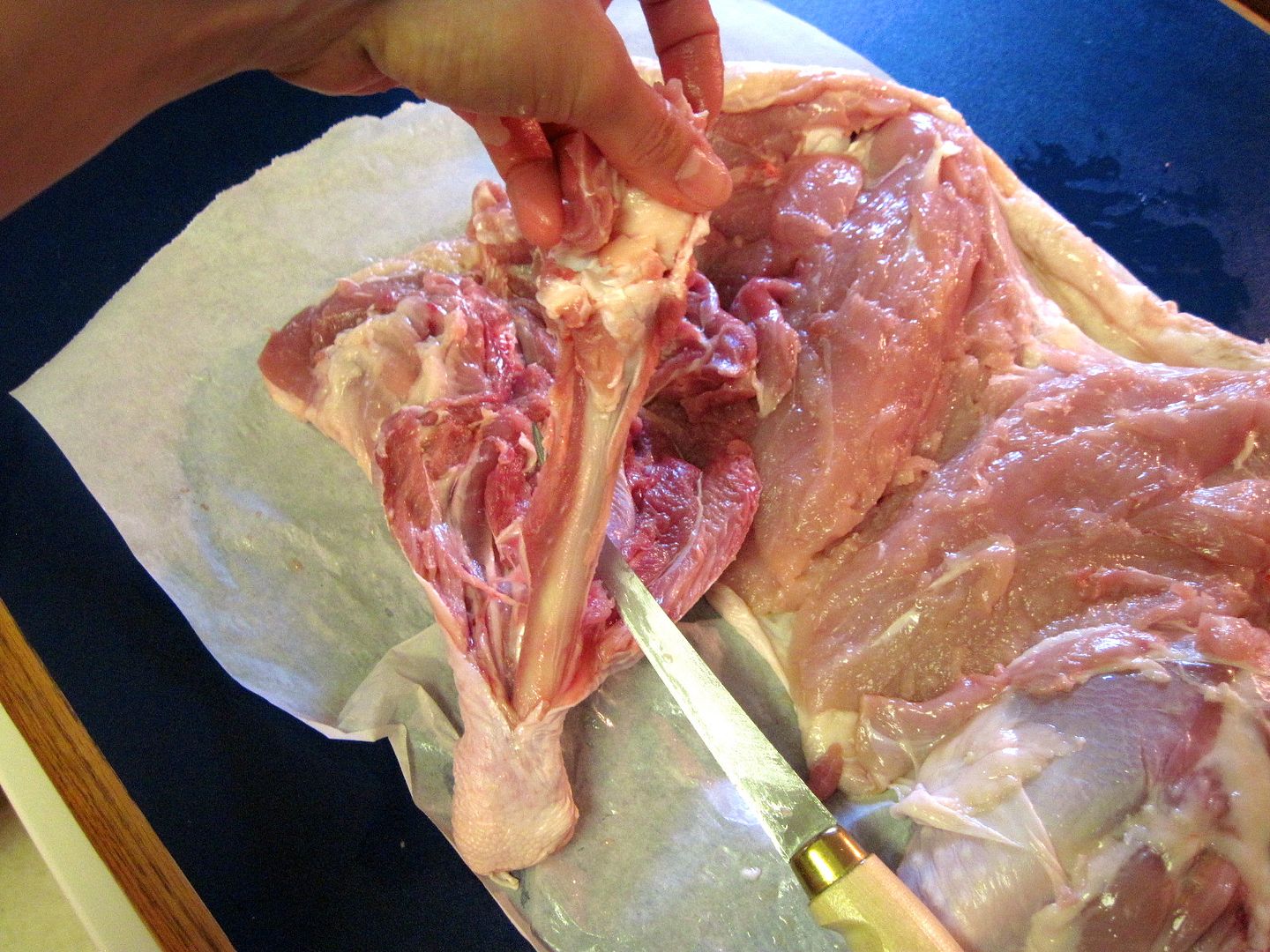 A New Kind of Thanksgiving Turkey